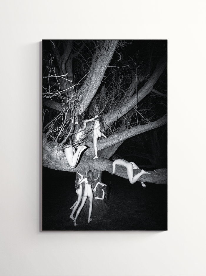 Dressing a tree — 2024 — Jessica Kuhn Artist